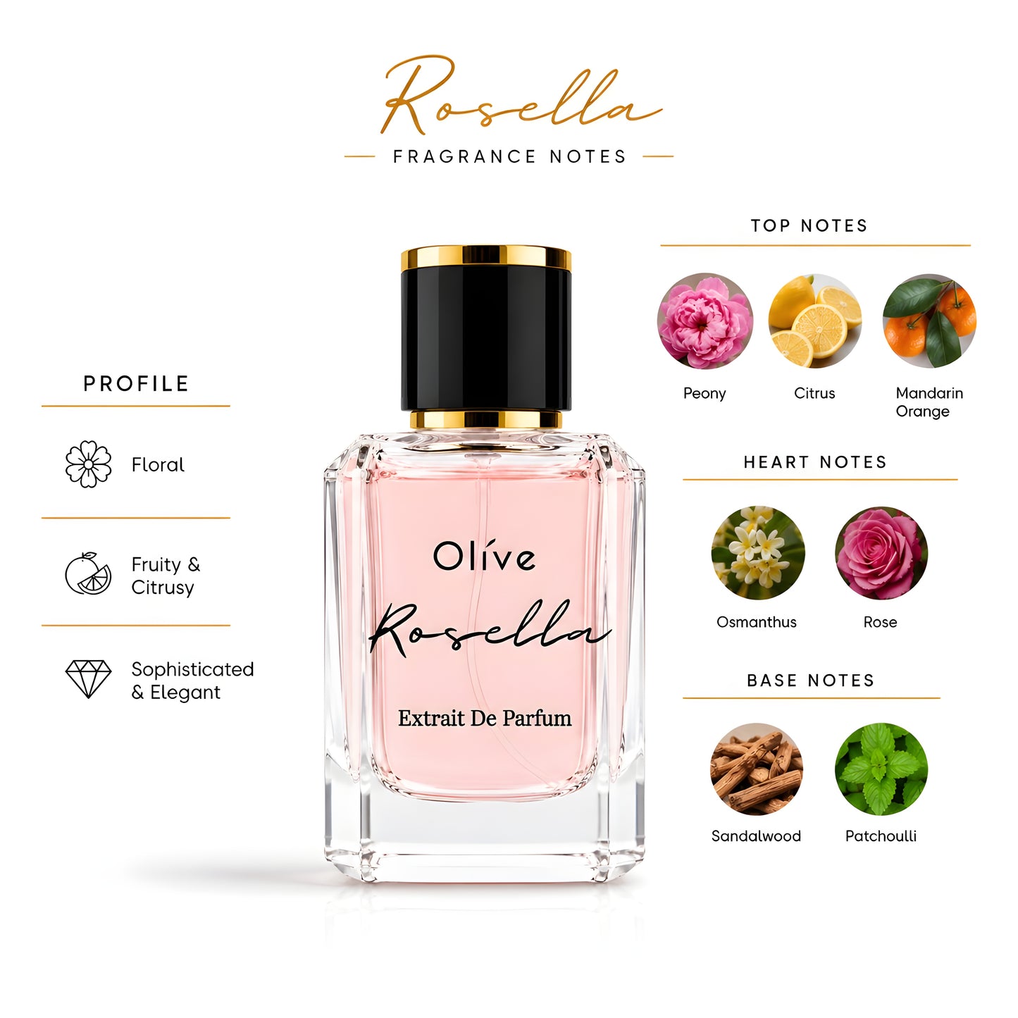 Rosella - Inspired by Gucii Flora